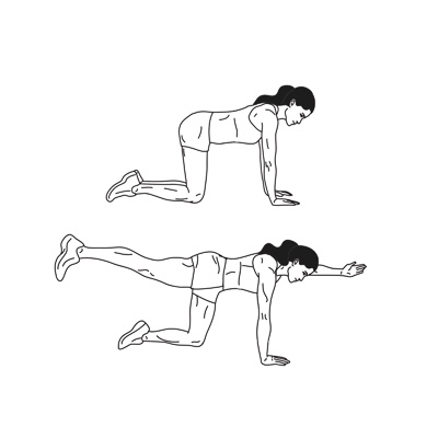 Ilustração do exercício bird dog (perdigueiro) do Darebee